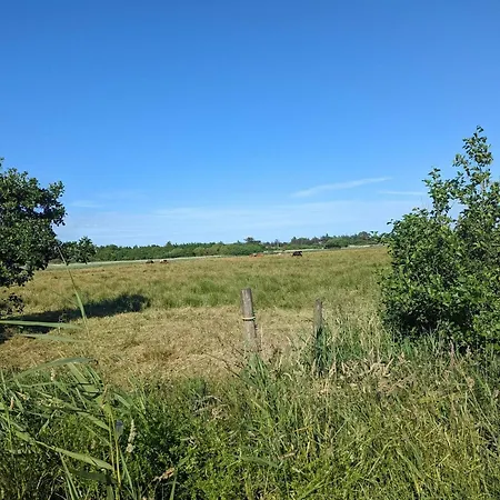 Prázdninový dům 6 Person In